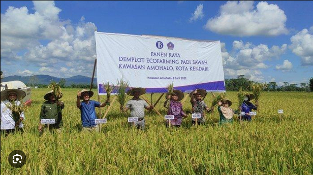 Desa Wisata Agrowisata Amohalo